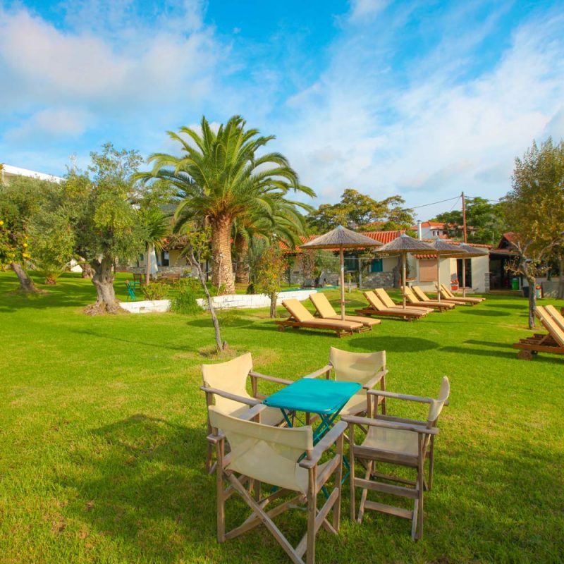 Garden at Angeliki Beach Hotel