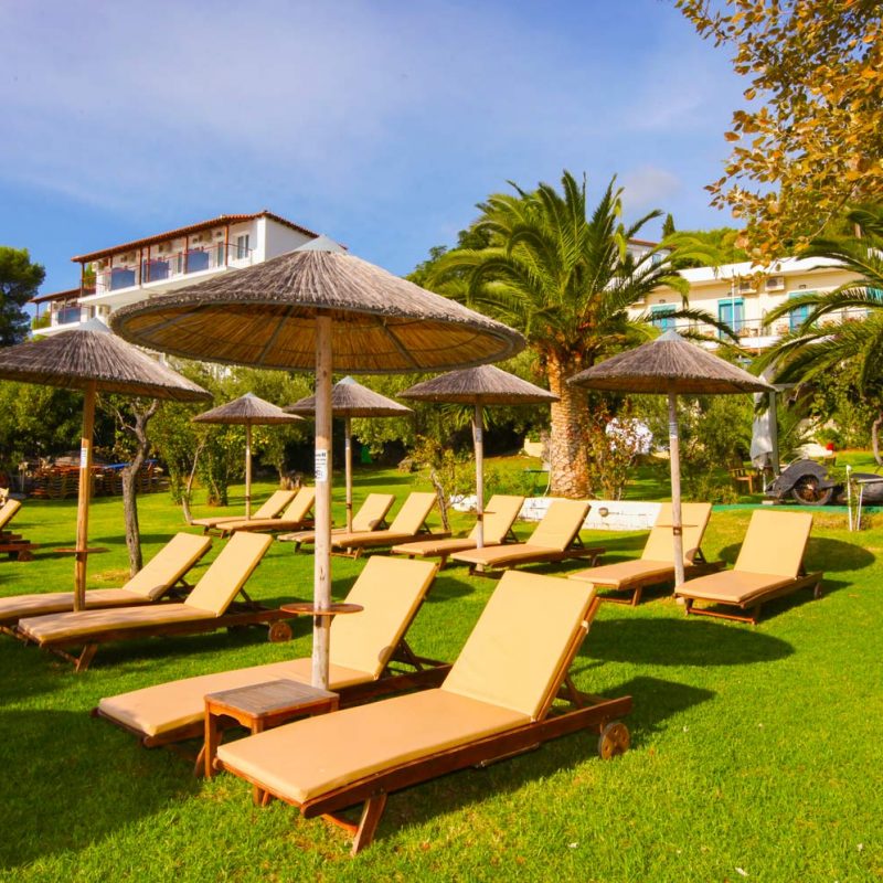 Sun Beds in the Garden at Angeliki Beach Hotel