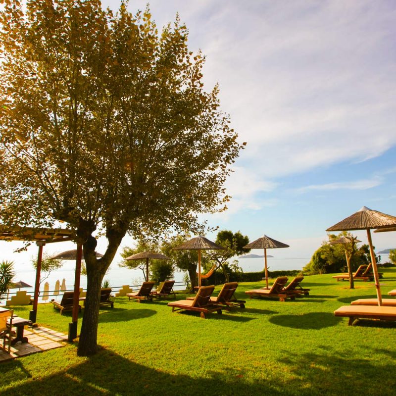 Garden View with Sun Beds - Angeliki Beach Hotel