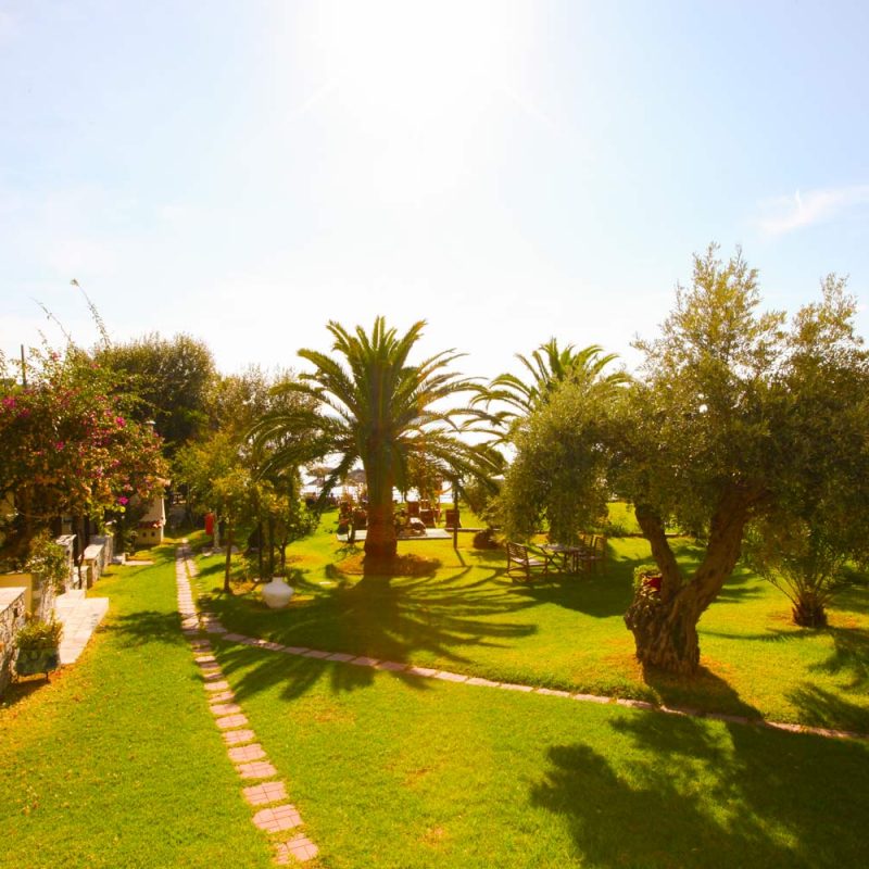 Garden and Path View of Angeliki Beach Hotel