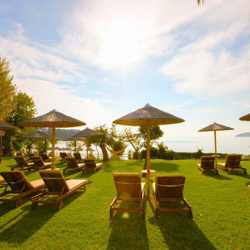Sunbathing at Angeliki Beach Hotel's garden