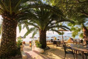 Swell Beach Bar Palm Trees Entrance from The beach